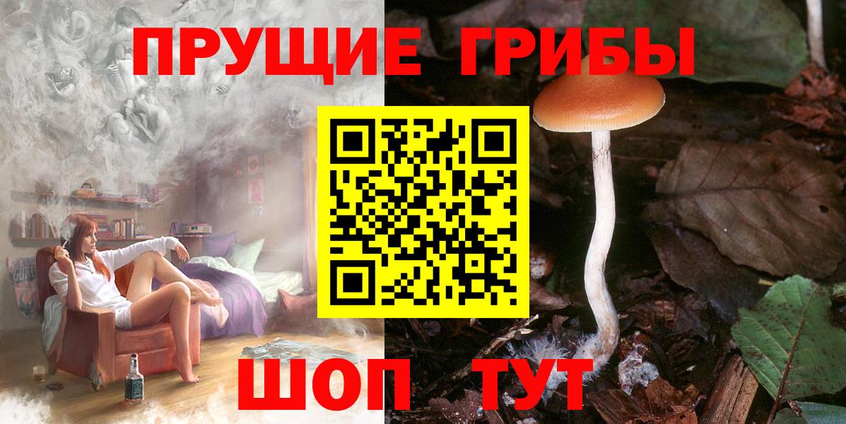 Псилоцибиновые грибы ЛСД Подольск