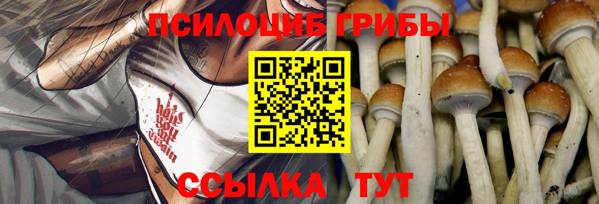 Галлюциногенные грибы Psilocybine cubensis  Вход с VPN  Подольск  Псилоцибиновые грибы ЛСД 